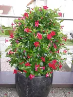 04_08_2018 (22).webp