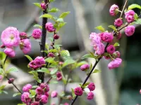 image002.webp