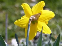 image006.jpg