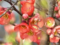 image007.webp