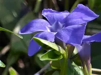image012.webp