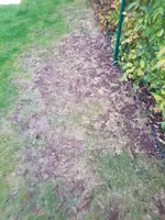 IMG-20190217-WA0002.jpg