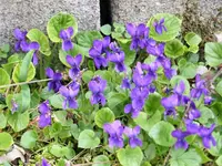 image003.webp
