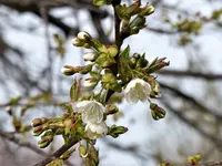 image001.webp