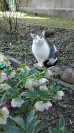 IMG_20190401_162307.webp