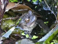 image013.webp