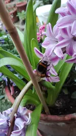 IMG_20190327_163538.webp