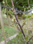 P1090600.JPG