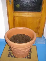 Töpfe schleppen (2).webp