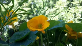 20180526_094416.webp 20180526_094416.webp