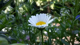 20180526_094430.webp 20180526_094430.webp