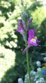 20180526_094724.webp 20180526_094724.webp