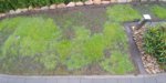 20190404_105216.jpg