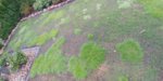 20190404_105208.jpg