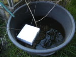 BILD0870.JPG