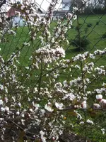 BILD0867.webp