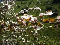 BILD0857.webp