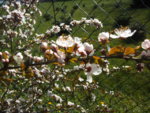 BILD0857.JPG