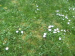 BILD0865.JPG