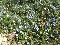 BILD0855.webp