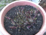 BILD0842.JPG