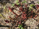 BILD0856.JPG