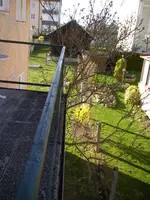 Flieder_04_04_2019 (6).webp