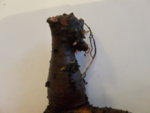 20190404_195350.jpg