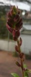 20190403_144400-1.jpg
