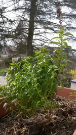 20190403_144413.webp