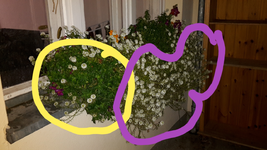 20190404_201658.webp