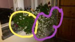 20190404_201658.jpg