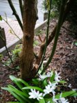 IMG_20190324_143644.jpg