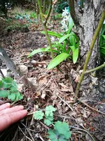 IMG_20190324_143752.webp