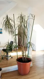 IMG_20190405_100319.webp