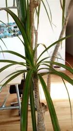 IMG_20190405_100326.webp