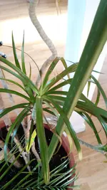IMG_20190405_100331.webp