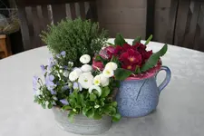 Frühling 1219.webp
