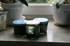 Bärlauchpesto0119.webp