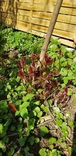20190406_114208.webp