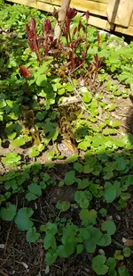 20190406_114204.webp