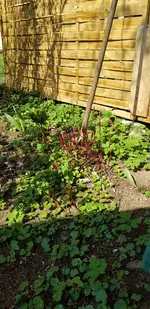 20190406_114159.webp