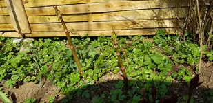 20190406_114154.webp