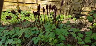 20190406_114146.webp