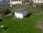 Garten_Engerlinge (1).JPG