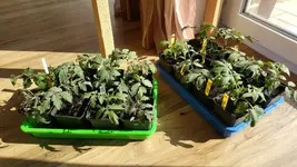 20190406_153848.jpg