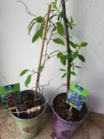 20190406_183145.webp