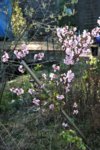 DSC07558.JPG