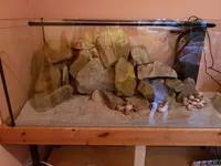 20190406_192416.webp