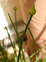 P1050500.webp